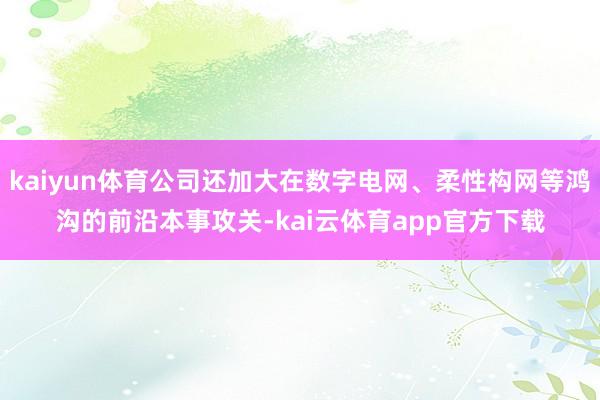 kaiyun体育公司还加大在数字电网、柔性构网等鸿沟的前沿本事攻关-kai云体育app官方下载