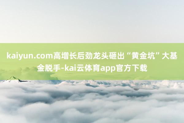 kaiyun.com高增长后劲龙头砸出“黄金坑”大基金脱手-kai云体育app官方下载