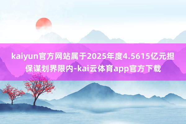 kaiyun官方网站属于2025年度4.5615亿元担保谋划界限内-kai云体育app官方下载
