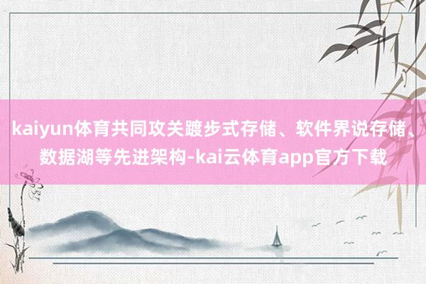 kaiyun体育共同攻关踱步式存储、软件界说存储、数据湖等先进架构-kai云体育app官方下载