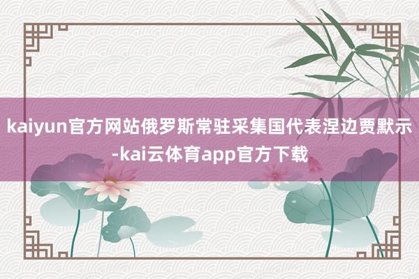 kaiyun官方网站俄罗斯常驻采集国代表涅边贾默示-kai云体育app官方下载
